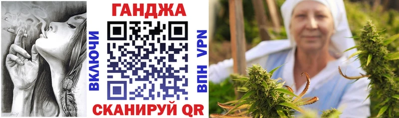 купить Щучье Конопля гибрид